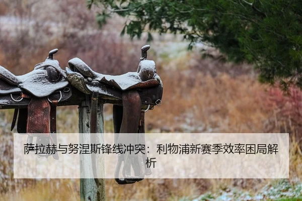 萨拉赫与努涅斯锋线冲突：利物浦新赛季效率困局解析