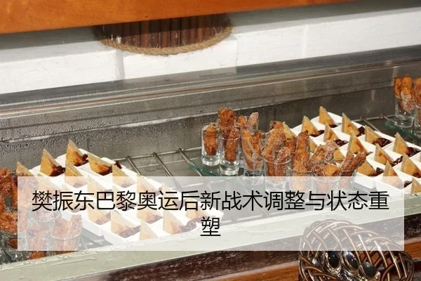 樊振东巴黎奥运后新战术调整与状态重塑